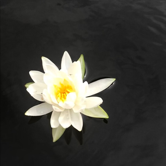 Meet your Posher, Melodie - Picture 1 of 1